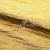 Текстильный материал "Диско"#1805 с покрытием РЕТ, 40гр/м2, 100% полиэстер, цв.5-золото - купить в Брянске. Цена 412.36 руб.