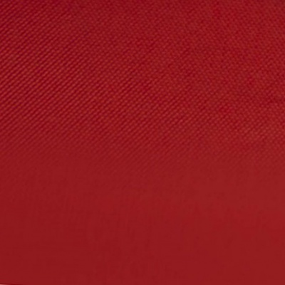 Ткань подкладочная Таффета 19-1656, антист., 53 гр/м2, шир.150см, цвет вишня - купить в Брянске. Цена 63 руб.