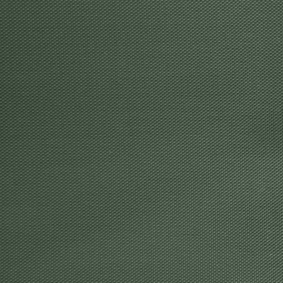 Оксфорд (Oxford) 240D 19-5917, PU/WR, 115 гр/м2, шир.150см, цвет т.зелёный - купить в Брянске. Цена 154.09 руб.