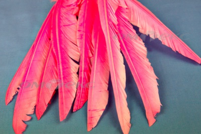 Декоративный Пучок из перьев, перо 25см/розовый - купить в Брянске. Цена: 14.40 руб.