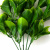 Трава искусственная -1, шт (эвкалипт лист 32 см/8 см)				 - купить в Брянске. Цена: 169.93 руб.