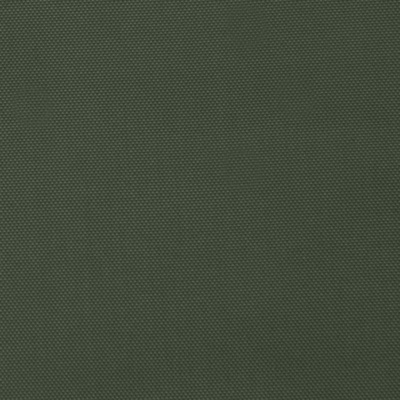 Ткань подкладочная "BEE" 19-0419, 54 гр/м2, шир.150см, цвет болотный - купить в Брянске. Цена 64.20 руб.