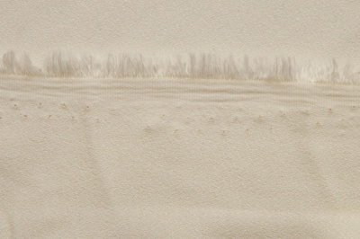 Костюмная ткань с вискозой "Бриджит" 11-0107, 210 гр/м2, шир.150см, цвет бежевый - купить в Брянске. Цена 564.96 руб.