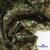 Ткань костюмная «Микровельвет велюровый принт», 220 г/м2, 97% полиэстр, 3% спандекс, ш. 150См Цв  #9 - купить в Брянске. Цена 439.76 руб.