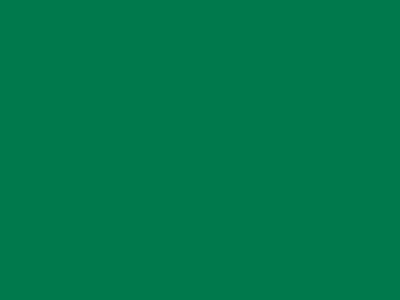 85 см № 258 яр. зеленый спираль (G) сорт-2 - купить в Брянске. Цена: 16.97 руб.