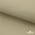 Ткань подкладочная TWILL 230T 14-1108, беж светлый 100% полиэстер,66 г/м2, шир.150 cм - купить в Брянске. Цена 90.59 руб.