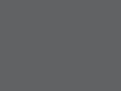 Слайдер галантерейный Т5 С301, цвет тём.серый - купить в Брянске. Цена: 2.05 руб.