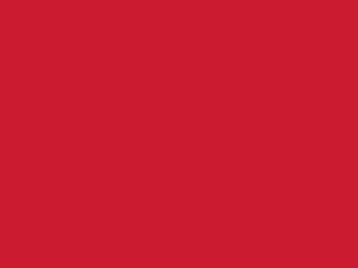 Сетка подкладочная красный, 60г/м2 (10 м/кг) - купить в Брянске. Цена 885.73 руб.