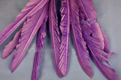 Декоративный Пучок из перьев, перо 25см/фиолетовый - купить в Брянске. Цена: 12.19 руб.
