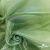 Ткань органза, 100% полиэстр, 28г/м2, шир. 150 см, цв. #27 зеленый - купить в Брянске. Цена 86.24 руб.