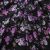 Плательная ткань "Фламенко" 20.1, 80 гр/м2, шир.150 см, принт растительный - купить в Брянске. Цена 241.49 руб.