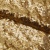Сетка с пайетками №3, 188 гр/м2, шир.140см, цвет золотой - купить в Брянске. Цена 454.12 руб.