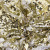Трикотажное полотно, Сетка с пайетками, шир.130 см, #315, цв.-белый/золото - купить в Брянске. Цена 693.39 руб.