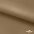 Ткань подкладочная Таффета 17-1327, антист., 54 гр/м2, шир.150см, цвет св.коричневый - купить в Брянске. Цена 65.53 руб.