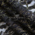 Кружевное полотно XD LACE 1-4, 80 гр/м2, шир.150см, цвет чёрный - купить в Брянске. Цена 245.94 руб.